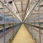 H Cineál Broilers Cage Córas