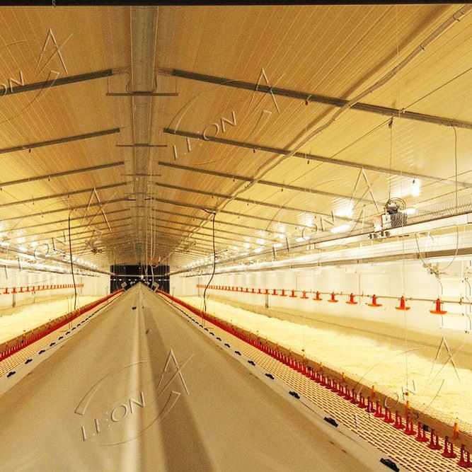 High-quality Efficient Raising System For Breeder price