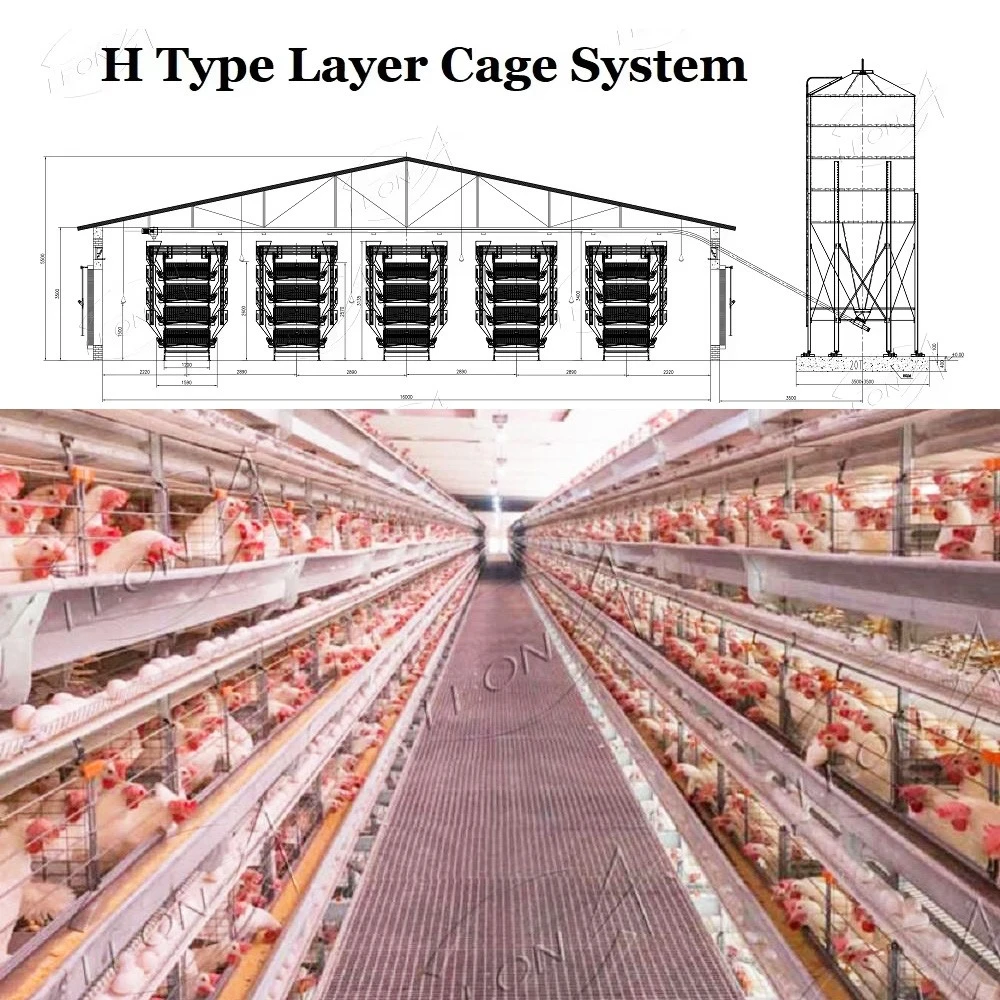 -1 -1