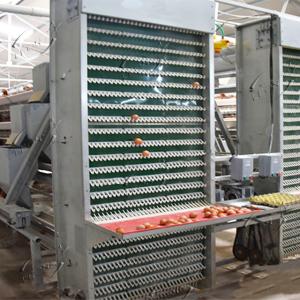 product-300-300
