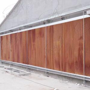 product-300-300